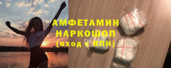 ECSTASY Гусь-Хрустальный