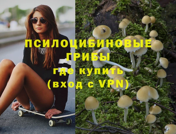 PSILOCYBIN Гусев