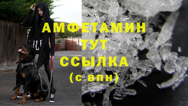PSILOCYBIN Гусев