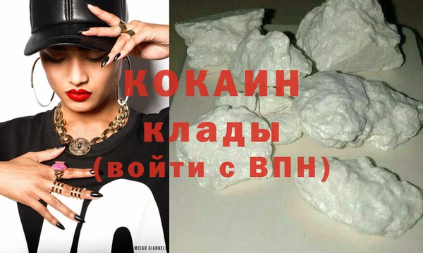 PSILOCYBIN Гусев