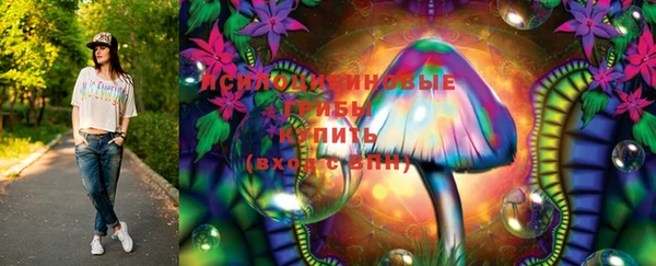 дурь Дмитриев