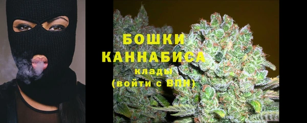 дурь Дмитриев