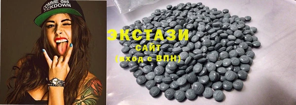 ECSTASY Гусь-Хрустальный